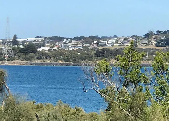 Bunya By The Sea